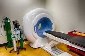 Pet CT Radiology | CT Scan for Pets