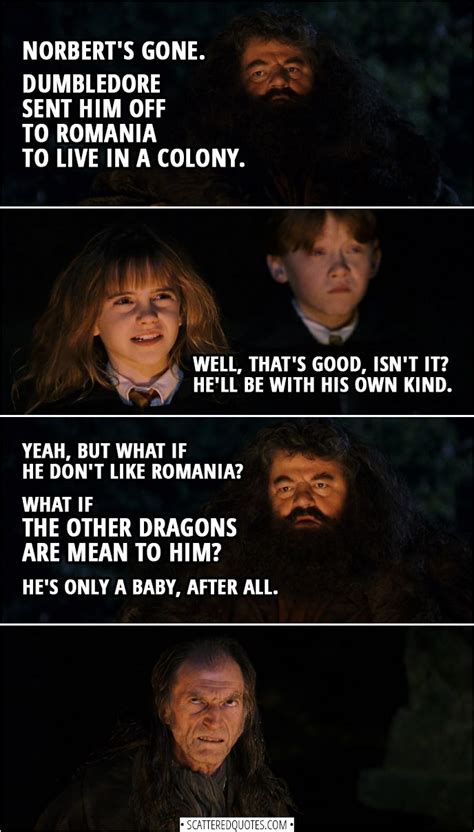 Hagrid Quotes - ShortQuotes.cc