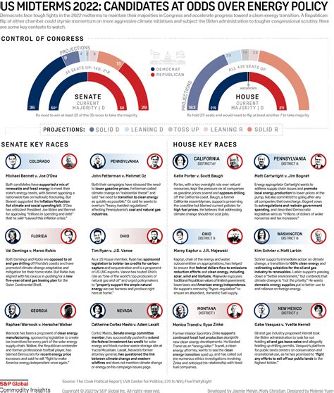 2022 Election Infographic