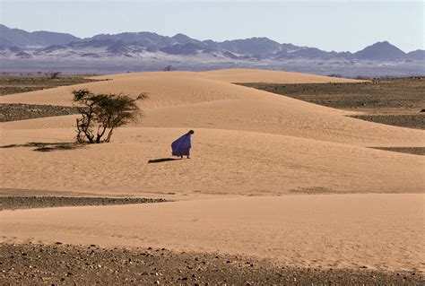 Western Sahara: Why Africa’s last colony can’t break free - The Boston Globe