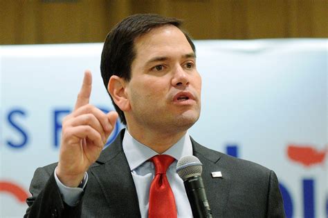 Marco Rubio to Seek Re-Election to Florida Senate Seat - NBC News