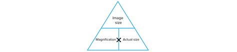 Microscopy Questions and Revision | MME