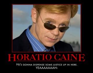 Horatio Caine Quotes. QuotesGram