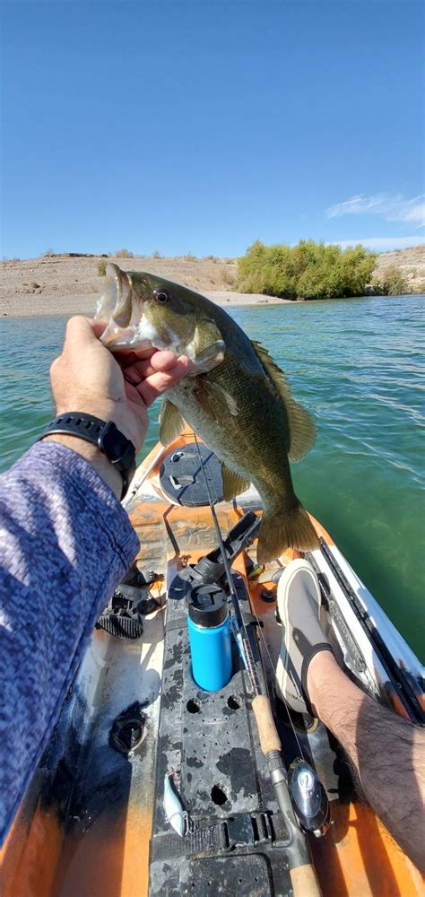 Kayak Fishing Lake Mead - Video - October 13th, 2019 | Bloodydecks