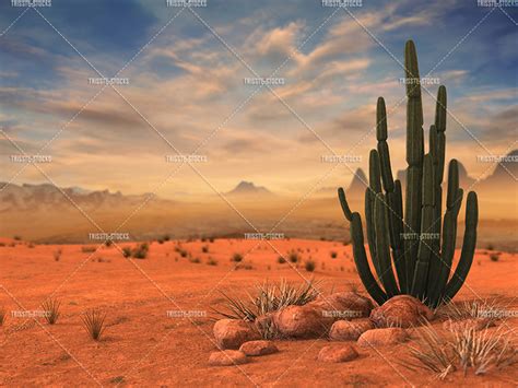 Wild West Desert 02 by Trisste-stocks on DeviantArt