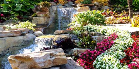 30 Best Xeriscaping Plants List | Shrubs, Trees, Ground Covers, Vines