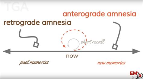 emDOCs.net – Emergency Medicine EducationEM in 5: Transient Global ...