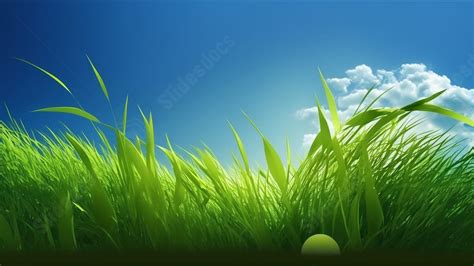 Grass Nature Green Grass Powerpoint Background For Free Download - Slidesdocs