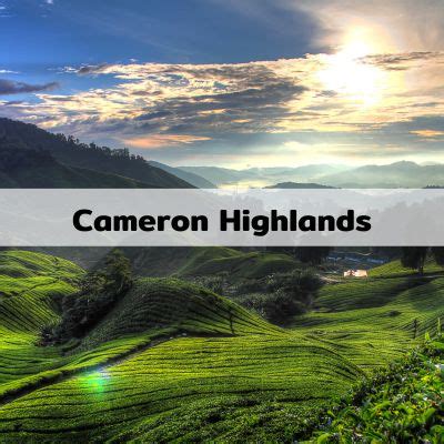 5 Best Cameron Highlands Attractions Waiting For You To Uncover - V6 ...