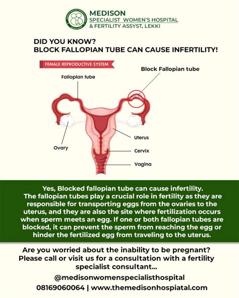 Fallopian Tube Blockage Natural Treatment