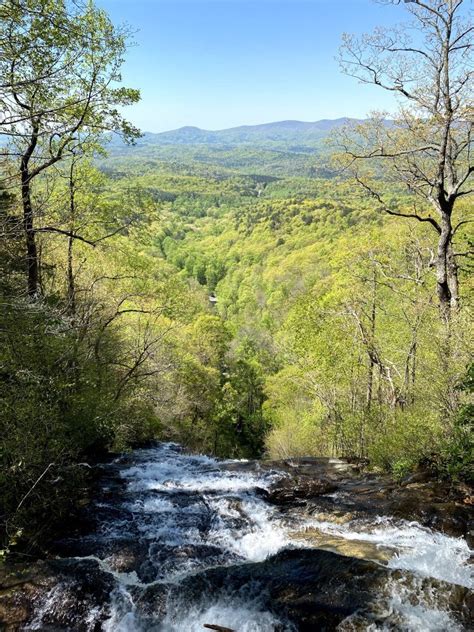 Hiking Amicalola Falls with Kids | Dutch Dutch Goose