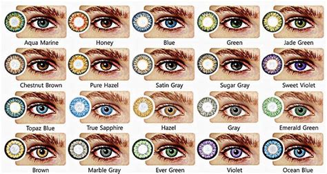 Eye Color Genetics Chart | Eye color chart, Eye color chart genetics ...