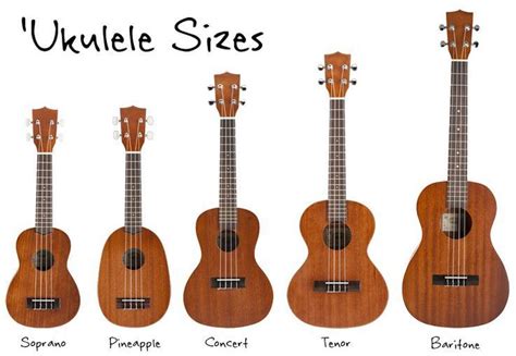 Ukulele Sizes: Comparison Chart and Specs | Ukulele music, Cool ukulele, Ukulele sizes