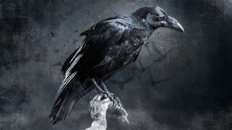 digital art, crow, HD Wallpaper | Rare Gallery