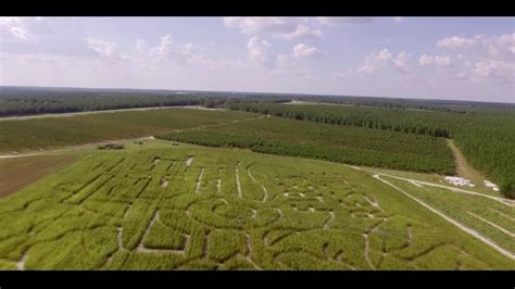 McLeod Farms Market Pumpkin Patch and Corn Maze PROMO - YouTube