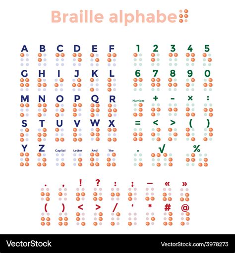 Braille alphabet punctuation and numbers Vector Image