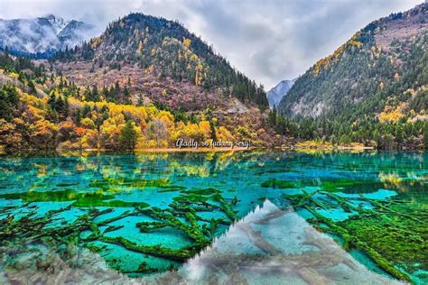 Five Flower Lake in Jiuzhaigu Valley, China : r/GWCOEPBot