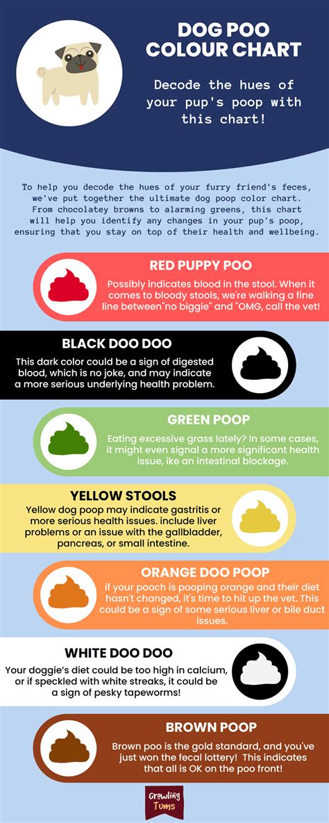 Dog Poop Clues: Colours, Texture & Odours Unveiled – Growling Tums