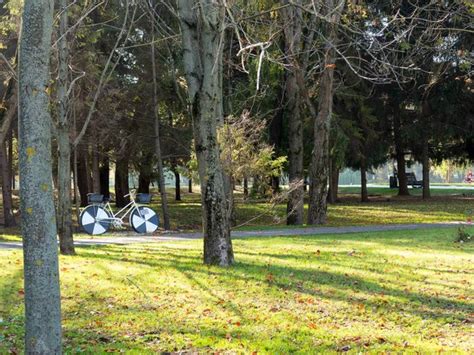 Colorful bright autumn city park. Leaves fall on ground. Autumn forest scenery with warm colors ...