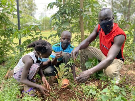 Afforestation & Reforestation Project