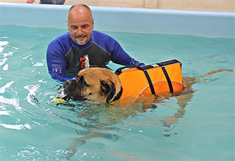 Canine Hydrotherapy