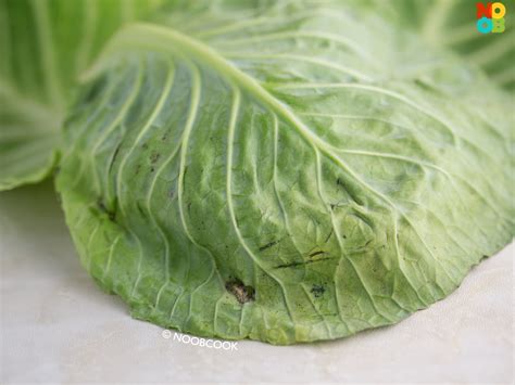 Stir-fry Cabbage Outer Leaves Recipe | NoobCook.com