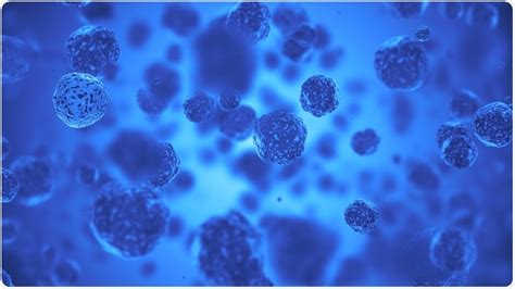 DNA Labelling Using DAPI: Methodology