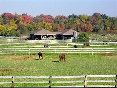 : Photos of the Hadley Farm | Center for Agriculture, Food, and the ...