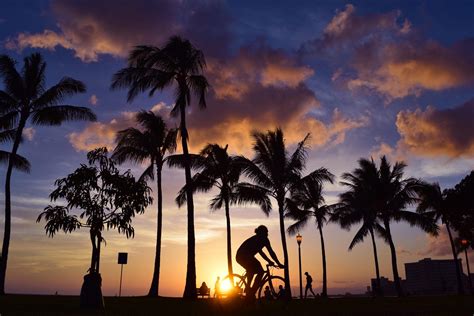 Oahu Biking Tours | Hawaii Tours and Activities