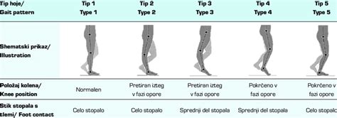 Amsterdam gait classification system for persons with cerebral palsy ...