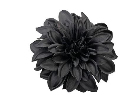 Black Dahlia Flower - Facts.net