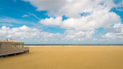 ¿Dónde está la playa de Amsterdam? - AmsterdamYEAH.com