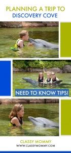 Details on Swimming with Dolphins at Discovery Cove #DiscoveryCove ...