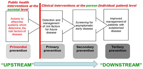 Epidemiologia | Free Full-Text | Prevention and Control Strategies for Non-Communicable Disease ...