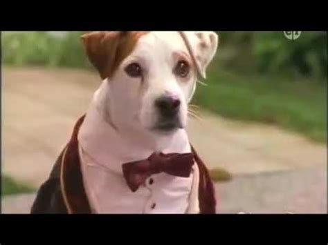 Pbs Kids Wishbone