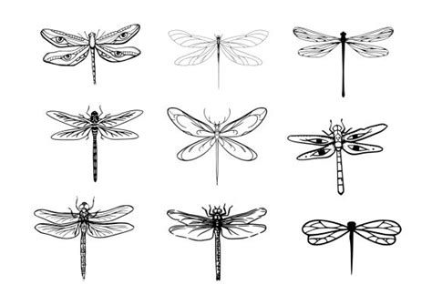 Những tác phẩm nghệ thuật chỉ có ở Dragonfly Tattoo và những ý tưởng ...