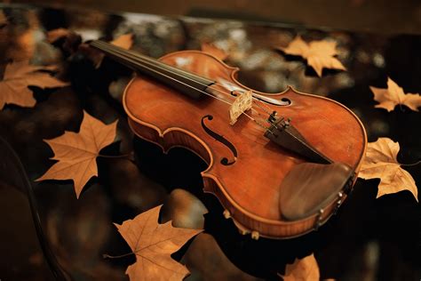 Download Instrument Leaf Fall Music Violin HD Wallpaper