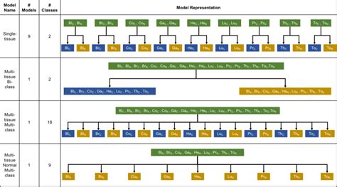 Types of machine learning classification model construction with the ...