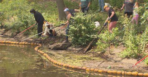 Muddy River Clean Up [04/22/23]