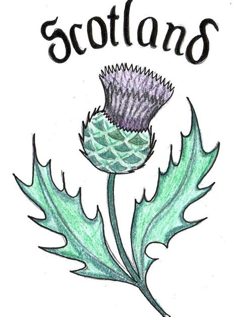 scottish thistle by bevf2003 on deviantART | Scottish thistle tattoo, Thistle tattoo, Scottish ...