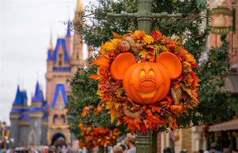 Halloween at Magic Kingdom Review: Trick or Treat? - Disney Tourist Blog