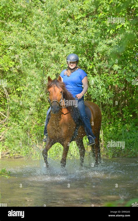 Young rider on back of a Paso Fino horse riding in a small river Stock ...