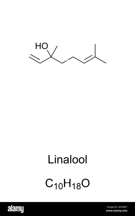 Linalool, chemical formula and skeletal structure. Organic compound, found in many flowers and ...