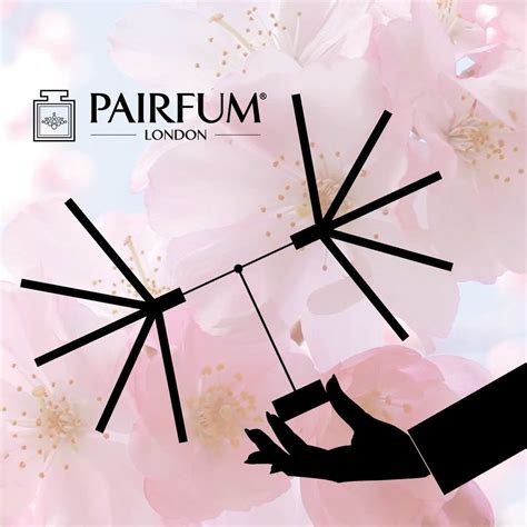 Pack of 50 x Smelling Strips - A Better Way To Sample | PAIRFUM London