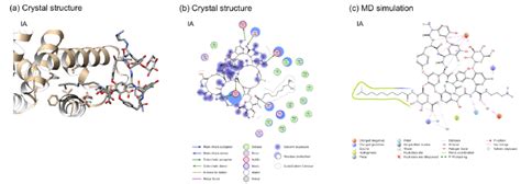 Interaction between HSA and dalbavancin. (a) The dalbavancin-binding ...