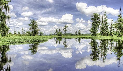 Ocklawaha River | Florida Paddle Notes