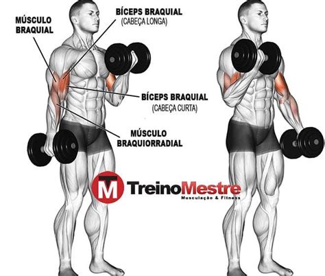 Exercício 5 | Rosca direta, Costas e bíceps, Treino com halteres