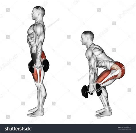 Squats with dumbbells. 3D illustration Leg Day Workouts, Weight ...