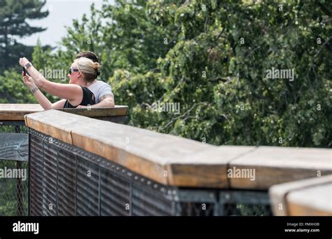 Tree Top Walkway - Kew Gardens Stock Photo - Alamy