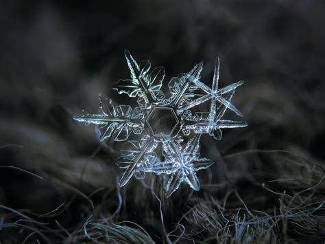 Mind Blowing High Resolution Macro Photos of Snowflakes - Foynd